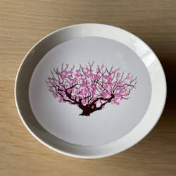 盃　満開-full bloom-　梅-ume-　冷感 2枚目の画像