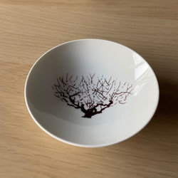 盃　満開-full bloom-　梅-ume-　冷感 3枚目の画像