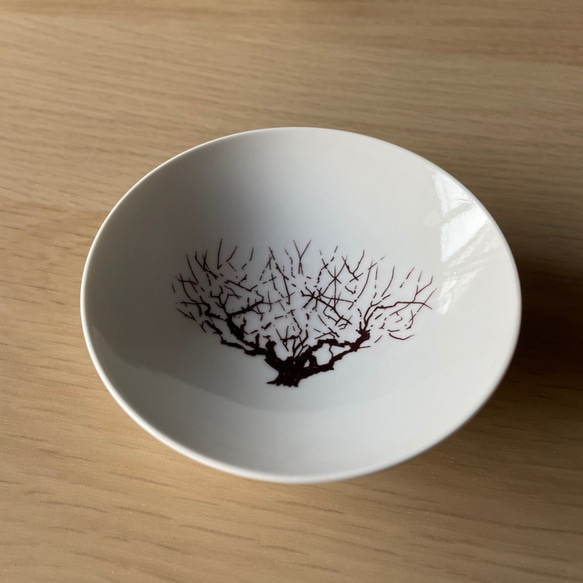 盃　満開-full bloom-　梅-ume-　冷感 3枚目の画像