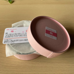 盃　満開-full bloom-　梅-ume-　冷感 7枚目の画像