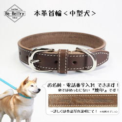 【旧商品ページ】本革レザー首輪〈中型犬〉チョコ色　幅２１ｍｍ　首回り３２～４０cm対応可 高級イタリアンレザー使用 2枚目の画像