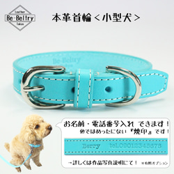 【旧商品ページ】本革レザー首輪〈小型犬〉 ターコイズブルー色 幅１７ｍｍ 長さ２４~３２cm 高級ヌメ革使用 2枚目の画像