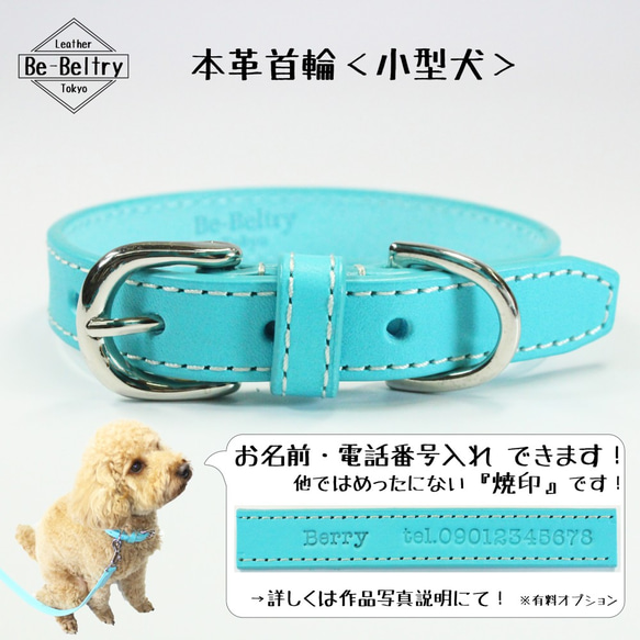 【旧商品ページ】本革レザー首輪〈小型犬〉 ターコイズブルー色 幅１７ｍｍ 長さ２４~３２cm 高級ヌメ革使用 2枚目の画像