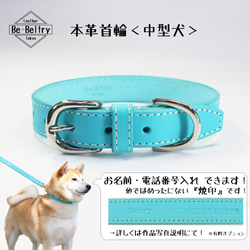 【旧商品ページ】本革レザー首輪〈中型犬〉ターコイズブルー色　幅２１ｍｍ　首回り３２～４０cm対応可　高級ヌメ革使用 2枚目の画像