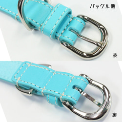 【旧商品ページ】本革レザー首輪〈中型犬〉ターコイズブルー色　幅２１ｍｍ　首回り３２～４０cm対応可　高級ヌメ革使用 6枚目の画像