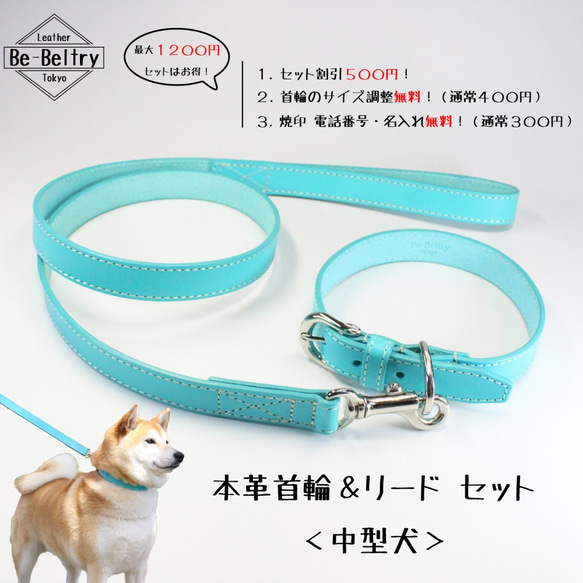 【旧商品ページ】本革レザー首輪&リードセット〈中型犬〉 ターコイズブルー色 長さ変更可・カフェリードあり 高級ヌメ革使用 2枚目の画像