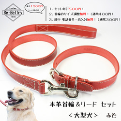 【旧商品ページ】本革レザー首輪&リードセット〈大型犬〉 赤色 長さ変更可 高級ヌメ革使用 2枚目の画像