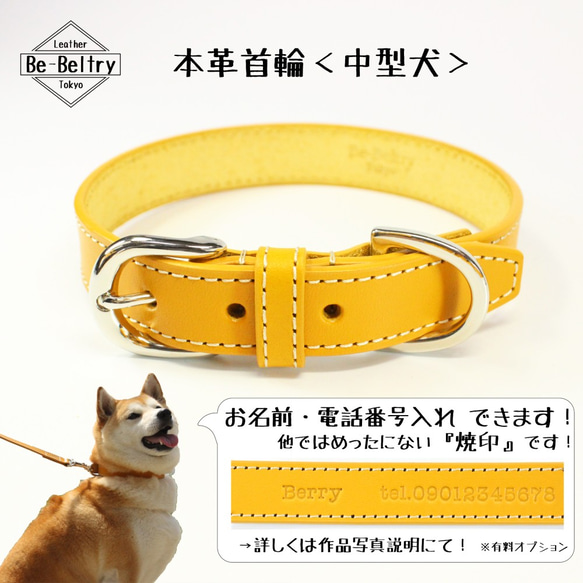 【旧商品ページ】本革レザー首輪〈中型犬〉 マスタードイエロー 幅２１ｍｍ 長さ３２~４０cm 高級ヌメ革使用 2枚目の画像