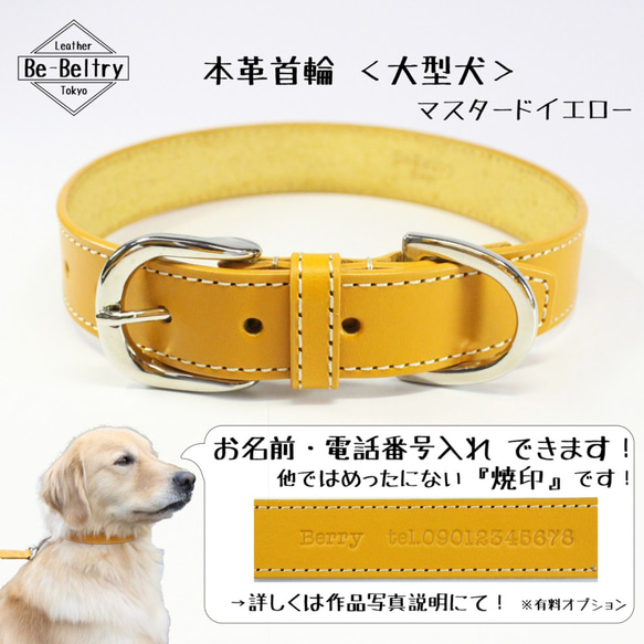 【旧商品ページ】本革レザー首輪〈大型犬〉 マスタードイエロー 幅２４ｍｍ 長さ４０cm~６０cm変更可 ヌメ革 2枚目の画像