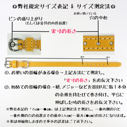 【旧商品ページ】本革レザー首輪&リードセット〈中型犬〉 マスタードイエロー 長さ変更可・カフェリードあり 5枚目の画像