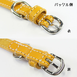 【旧商品ページ】本革レザー首輪〈猫・超小型犬〉 マスタードイエロー 幅１２ｍｍ 長さ～２４cm 高級ヌメ革使用 6枚目の画像