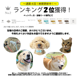 【送料無料】本革レザー首輪〈猫・超小型犬〉 キャメル色 幅１２ｍｍ 長さ～２４cm 高級イタリアンレザー使用 2枚目の画像