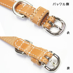 【送料無料】本革レザー首輪〈猫・超小型犬〉 キャメル色 幅１２ｍｍ 長さ～２４cm 高級イタリアンレザー使用 5枚目の画像