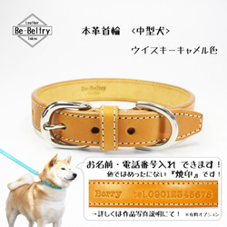 【旧商品ページ】本革レザー首輪〈中型犬〉 ウイスキーキャメル色 幅２１ｍｍ 長さ～４０cm ヌメ革サドルレザー使用 2枚目の画像