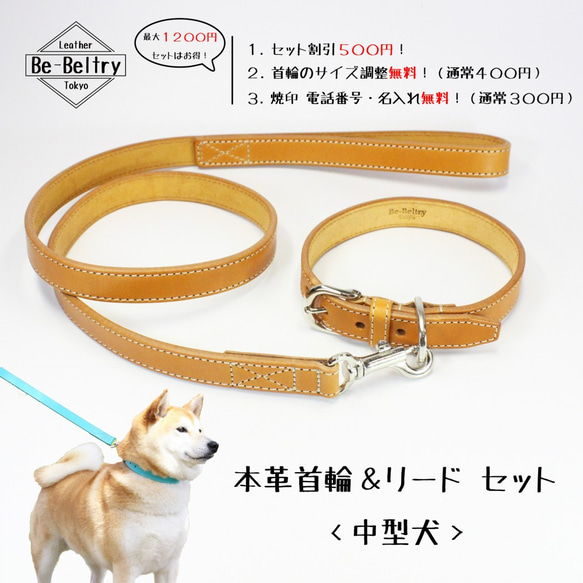 【旧商品ページ】本革レザー首輪＆リードセット〈中型犬〉 ウイスキーキャメル色 幅２１ｍｍ 長さ～４０cm サドルレザー 2枚目の画像