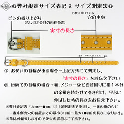 【旧商品ページ】本革レザー首輪＆リードセット〈中型犬〉 ウイスキーキャメル色 幅２１ｍｍ 長さ～４０cm サドルレザー 4枚目の画像