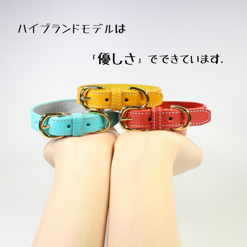 【ほぼ未使用】FENDI 犬用 レザー首輪 XS フェンディ FENDI FENDI 二つ折り財布 8M0508 ALV4 FF