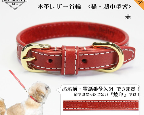 希少✨バレンシアガ リード ペット 犬 レザー 首輪 ハーネス ハイブランド バレンシアガ ペットリード首輪 犬猫用ハーネスbalenciaga