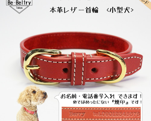 ハイブランド】本革レザー首輪〈小型犬〉 赤×赤 幅17mm 長さ