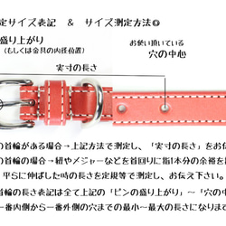 完売【残り０本再販なし】高級本革レザー首輪〈猫・小型犬〉ブラック色　幅１７ｍｍ　首回り１８cm～３２cm対応【送料無料】 7枚目の画像