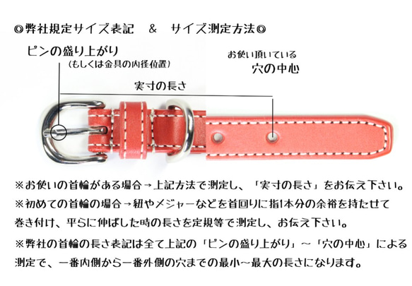 完売【残り０本再販なし】高級本革レザー首輪〈猫・小型犬〉ブラック色　幅１７ｍｍ　首回り１８cm～３２cm対応【送料無料】 7枚目の画像