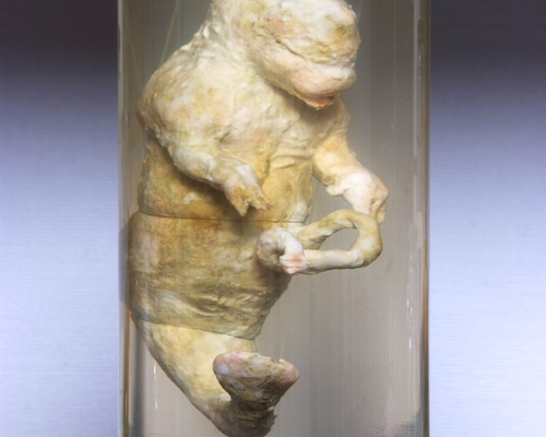 液浸標本: [ヒト型海棲生物の胎児] 立体・オブジェ RottenRoddam
