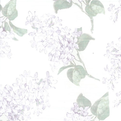 春待ち♪4月ご予約分（日本発送）Liberty : Archve lilac フレンチスリーブブラウス 4枚目の画像