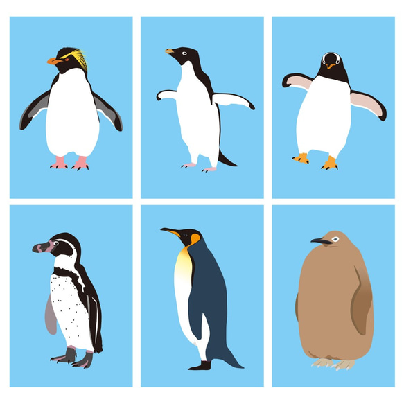 ペンギン先輩のカード6枚セット 1枚目の画像