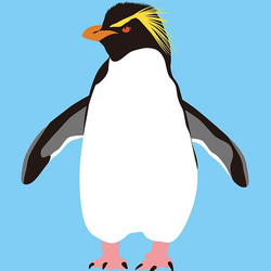 ペンギン先輩のカード6枚セット 3枚目の画像