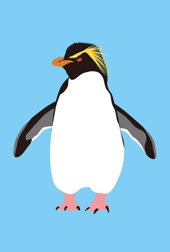 ペンギン先輩のカード6枚セット 3枚目の画像