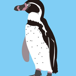 ペンギン先輩のカード6枚セット 6枚目の画像