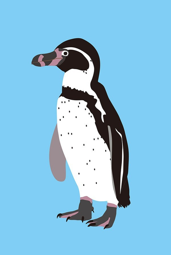 ペンギン先輩のカード6枚セット 6枚目の画像