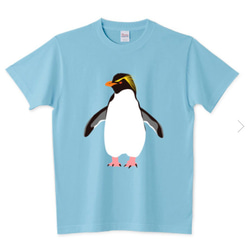 イワトビペンギンTシャツ［男女兼用タイプ］ 2枚目の画像