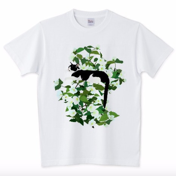 065 cissola Tシャツ【男女兼用タイプ】 1枚目の画像