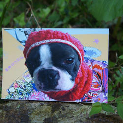 ポストカード　「犬の存在」 1枚目の画像