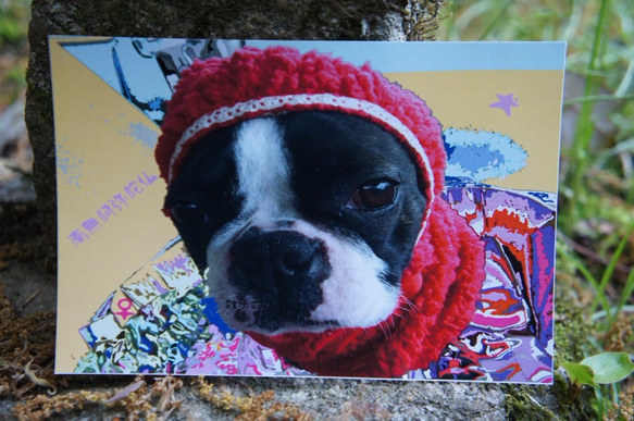 ポストカード　「犬の存在」 2枚目の画像