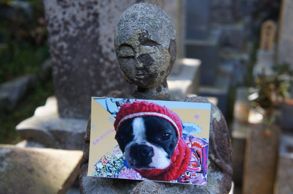 ポストカード　「犬の存在」 3枚目の画像