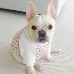 パグ 服 のおすすめ人気通販 検索結果｜Creema(クリーマ) ハンドメイド