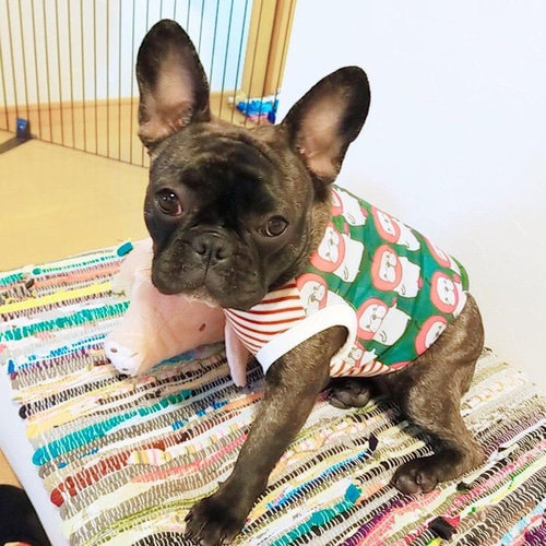 フレブル 服ハンドメイドりんごあめメッシュタンクトップ