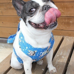 防暑措施★酷圍裙閃光點粉色法國鬥牛犬哈巴狗中型犬小型犬大型犬的玩具小熊維尼達克斯西施 第3張的照片