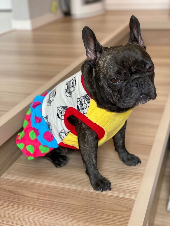 ☆犬服ハンドメイド☆フレブル・パグのお洋服 犬服オーダー可☆ぱぐ
