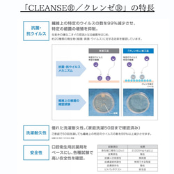  第9張的照片