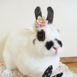 うさぎ様♡専用 えっくすきゅーと ひだまりのどうぶつたち♪もこもこうさぎさん