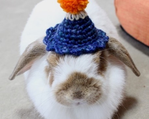 1_eacc69f7e6717dd05106918f683b