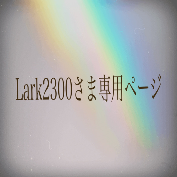 Lark2300さま専用ページ 1枚目の画像