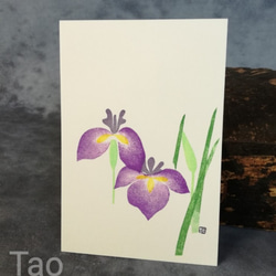 no.59『ハナショウブ』・季節の草花で彩る手捺し原画ポストカード（２枚入り） 2枚目の画像