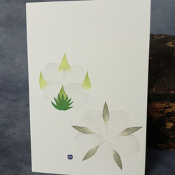 no.61『メンカ』・季節の草花で彩る手捺し原画ポストカード（２枚入り） 2枚目の画像