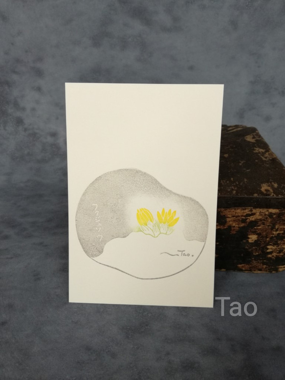 no.64『フクジュソウ』・季節の草花で彩る手捺し原画ポストカード（2枚入り） 2枚目の画像