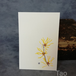 no.67『マンサク』・季節の草花で彩る手捺し原画ポストカード（2枚入り） 2枚目の画像