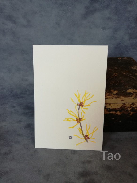 no.67『マンサク』・季節の草花で彩る手捺し原画ポストカード（2枚入り） 2枚目の画像